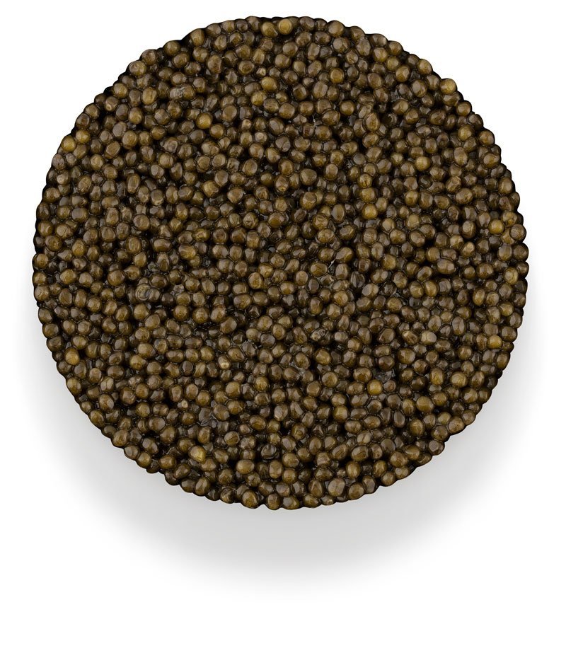 caviar-types-R-1